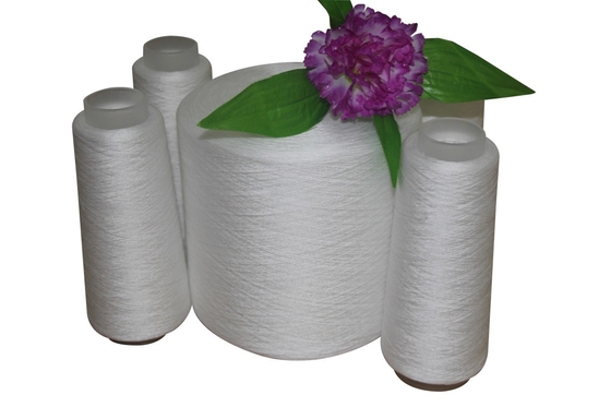 20/3 30/2 40/2 100% Ring Spun Polyester Yarn Raw White Polyester Twisted Yarn