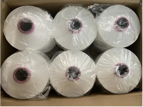 150D/48F Çiğ Beyaz NIM DTY Polyester İpek NIM, SIM, HIM