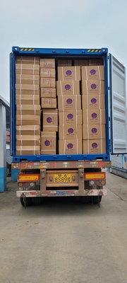Renk 40/2 Yüksek Dayanıklılıklı 100% Poliester Dikiş İpi