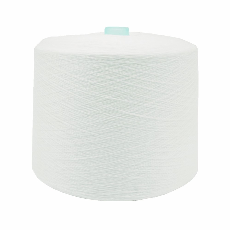20/2 30/2 20/3 30/3 40/2 50/2 %100 Polyester İplik Dikiş İpliği